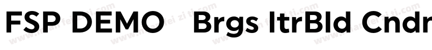 FSP DEMO   Brgs ltrBld Cndnsd Itali字体转换
